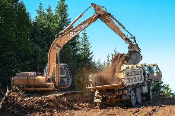 Kasino Golden Crown Tuki